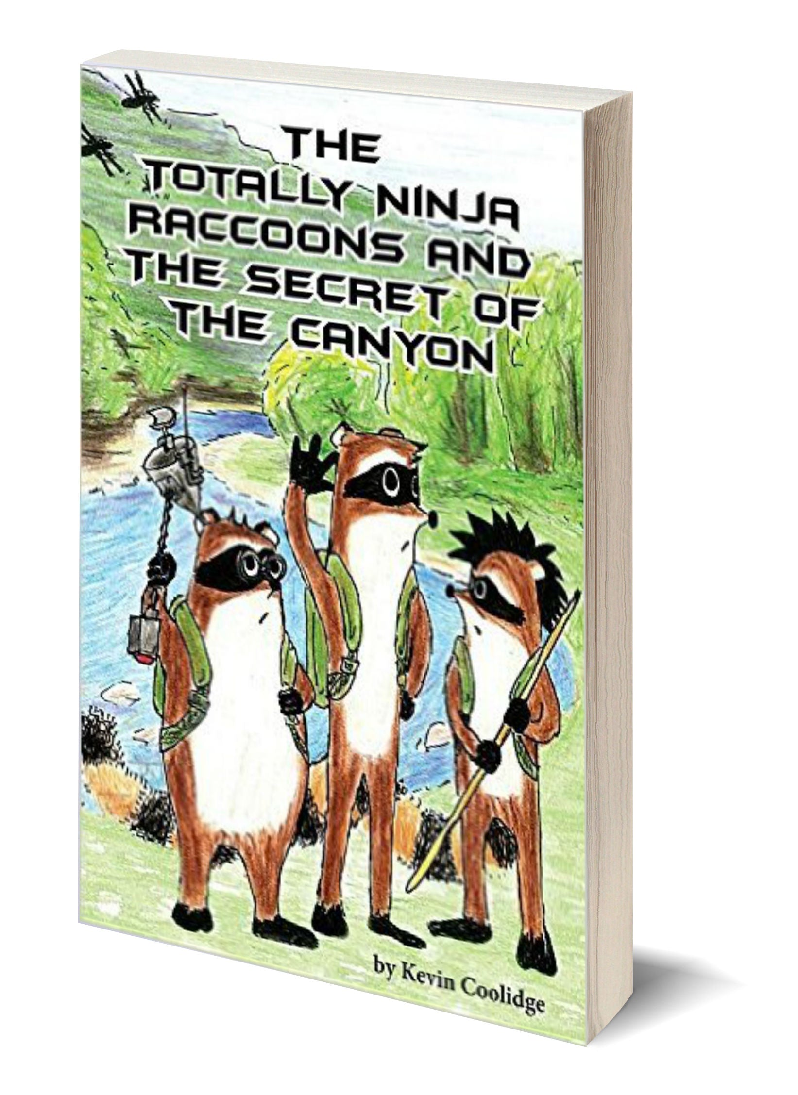 The Totally Ninja Raccoons and the Secret of the Canyon (Paperback